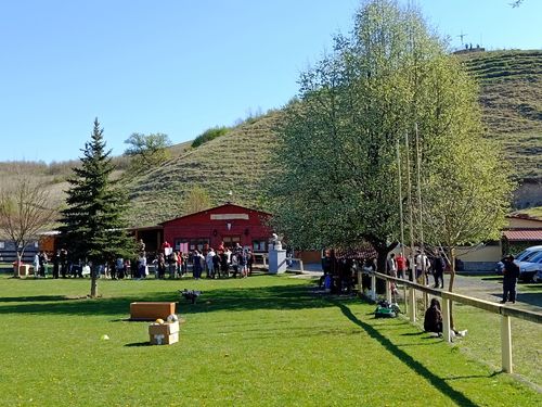 IMG_20260424_092520.jpg
