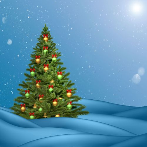 christmas-wishes-holidays-merry-christmas-design-christmas-tree-1451919-pxhere.com.jpg